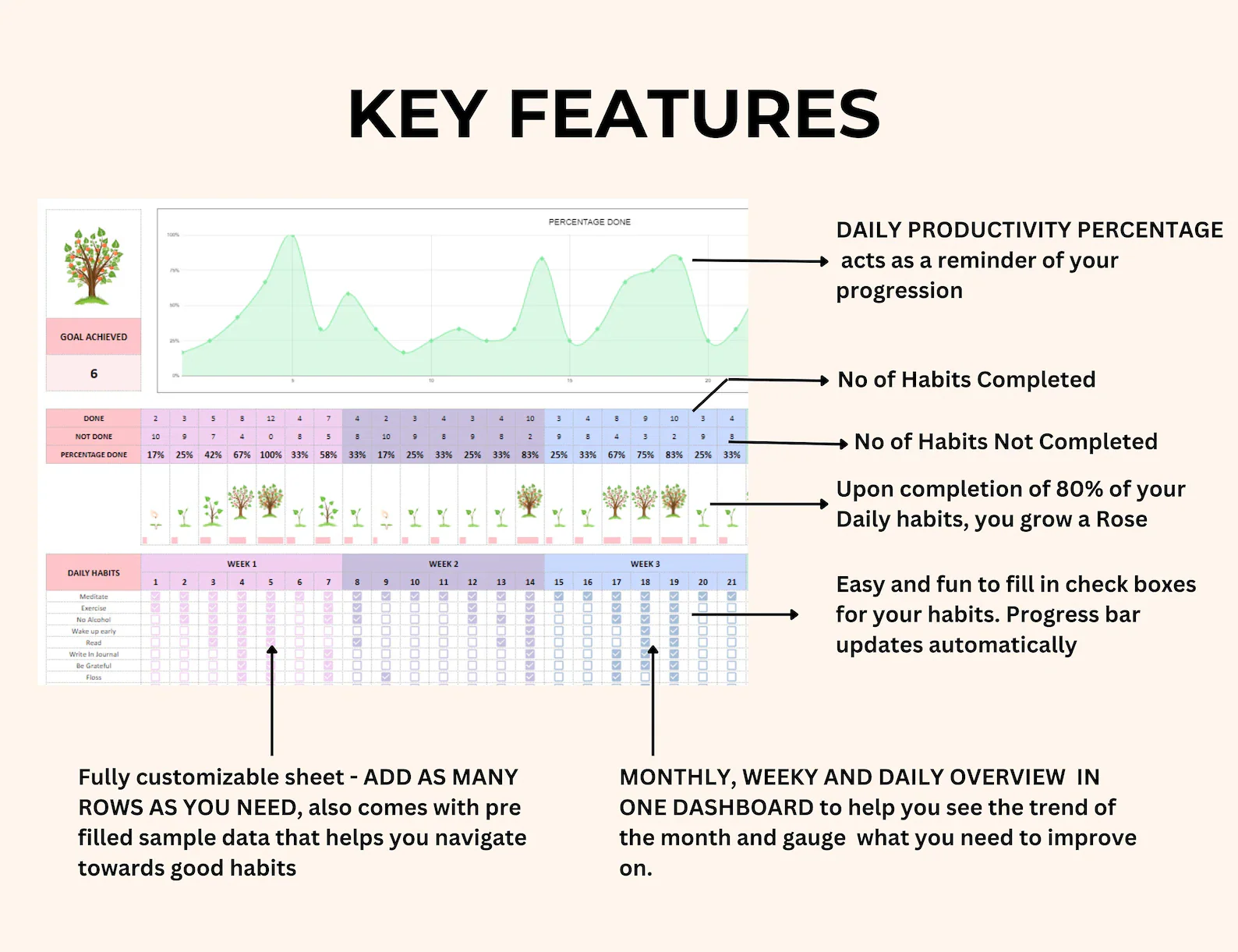 GOOGLE SHEETS & EXCEL HABIT TRACKER TEMPLATE (PLR/MRR) - Image 5