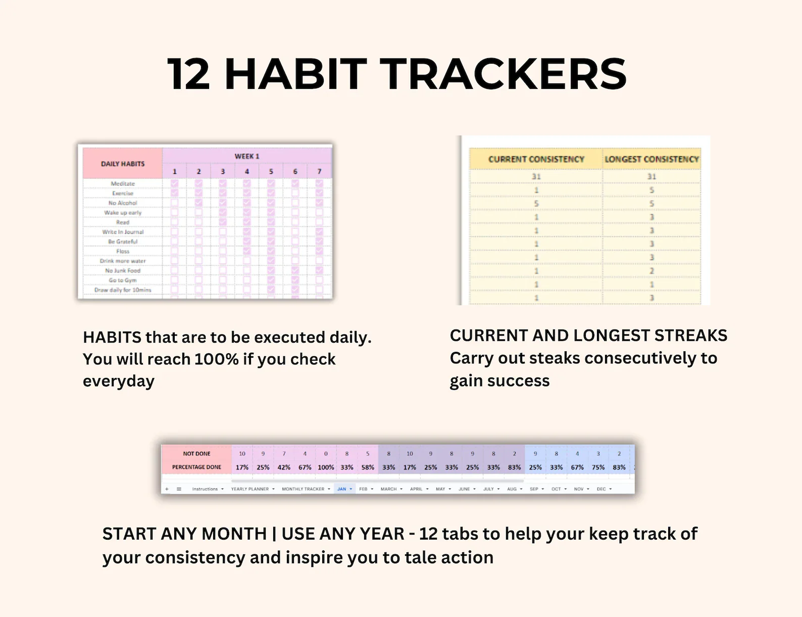 GOOGLE SHEETS & EXCEL HABIT TRACKER TEMPLATE (PLR/MRR) - Image 7